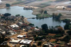 土壤水分對(duì)葉片特性有什么影響？