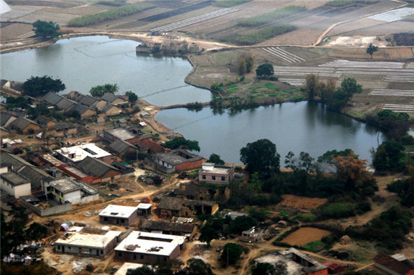 土壤水分對葉片特性有什么影響？