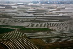 土壤養(yǎng)分速測(cè)儀分析園林樹(shù)木土壤肥力