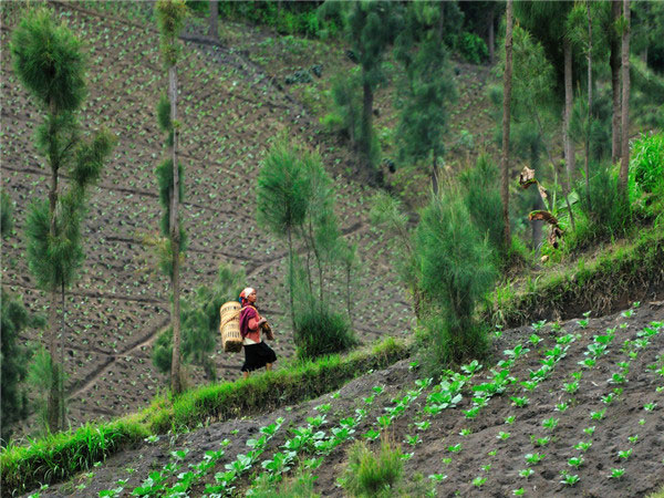 土壤墑情監(jiān)測站可提供全面的信息服務(wù)