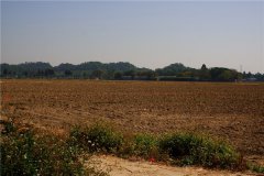 土壤水含量的變化對(duì)植物有哪些影響？