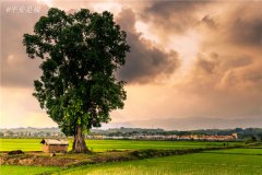 土壤水分速測儀主要有哪些優(yōu)點(diǎn)？