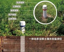 土壤墑情監(jiān)測(cè)系統(tǒng)對(duì)農(nóng)業(yè)的發(fā)展有哪些優(yōu)勢(shì)？