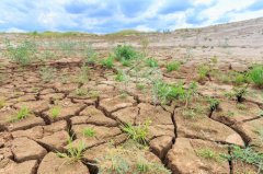 安裝土壤墑情自動監(jiān)測系統(tǒng)有哪些好處？