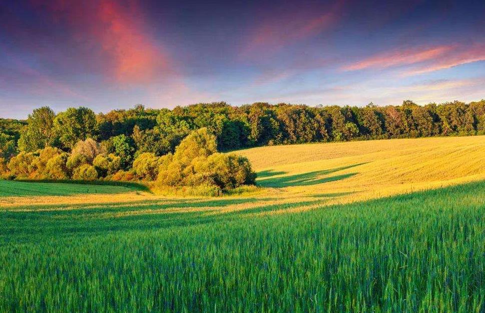 土壤墑情監(jiān)測系統(tǒng)在旱情分析中的作用