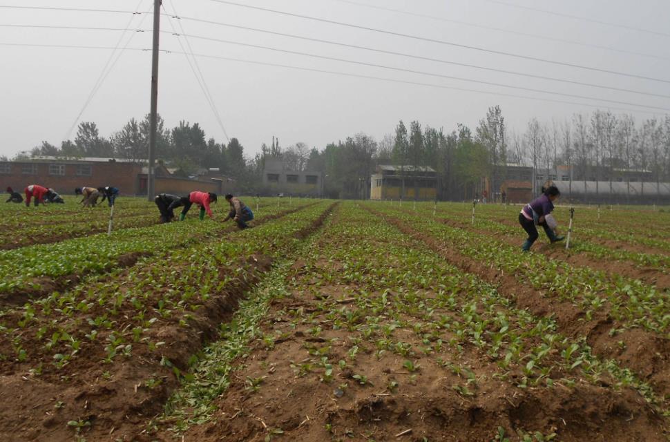 土壤含水量是如何計算的？