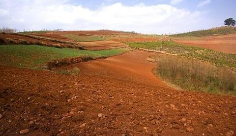 取樣方式不同對土壤墑情監(jiān)測精度有影響嗎？