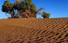 基于物聯(lián)網(wǎng)的區(qū)域農(nóng)田土壤墑情監(jiān)測系統(tǒng)