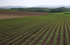 神經(jīng)網(wǎng)絡(luò)法能用于土壤墑情預(yù)測(cè)嗎？