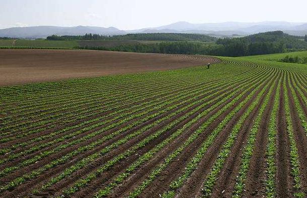 神經(jīng)網(wǎng)絡法能用于土壤墑情預測嗎？