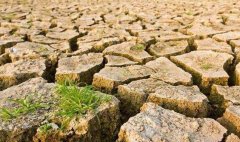 目測(cè)土壤墑情？