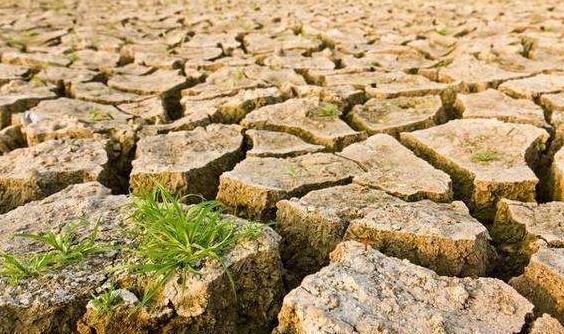 目測土壤墑情？