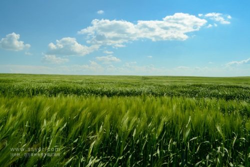 智慧農(nóng)業(yè)帶來了什么？